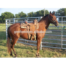 Vedação de cavalos galvanizados ou revestidos de PVC / vedação de tubulação para cavalos / cerca de paddock de cavalo